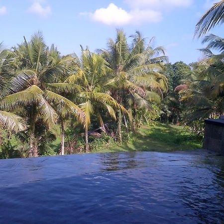 Dewa House Bisma Ubud Exterior foto