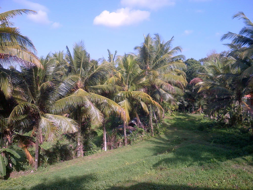 Dewa House Bisma Ubud Exterior foto