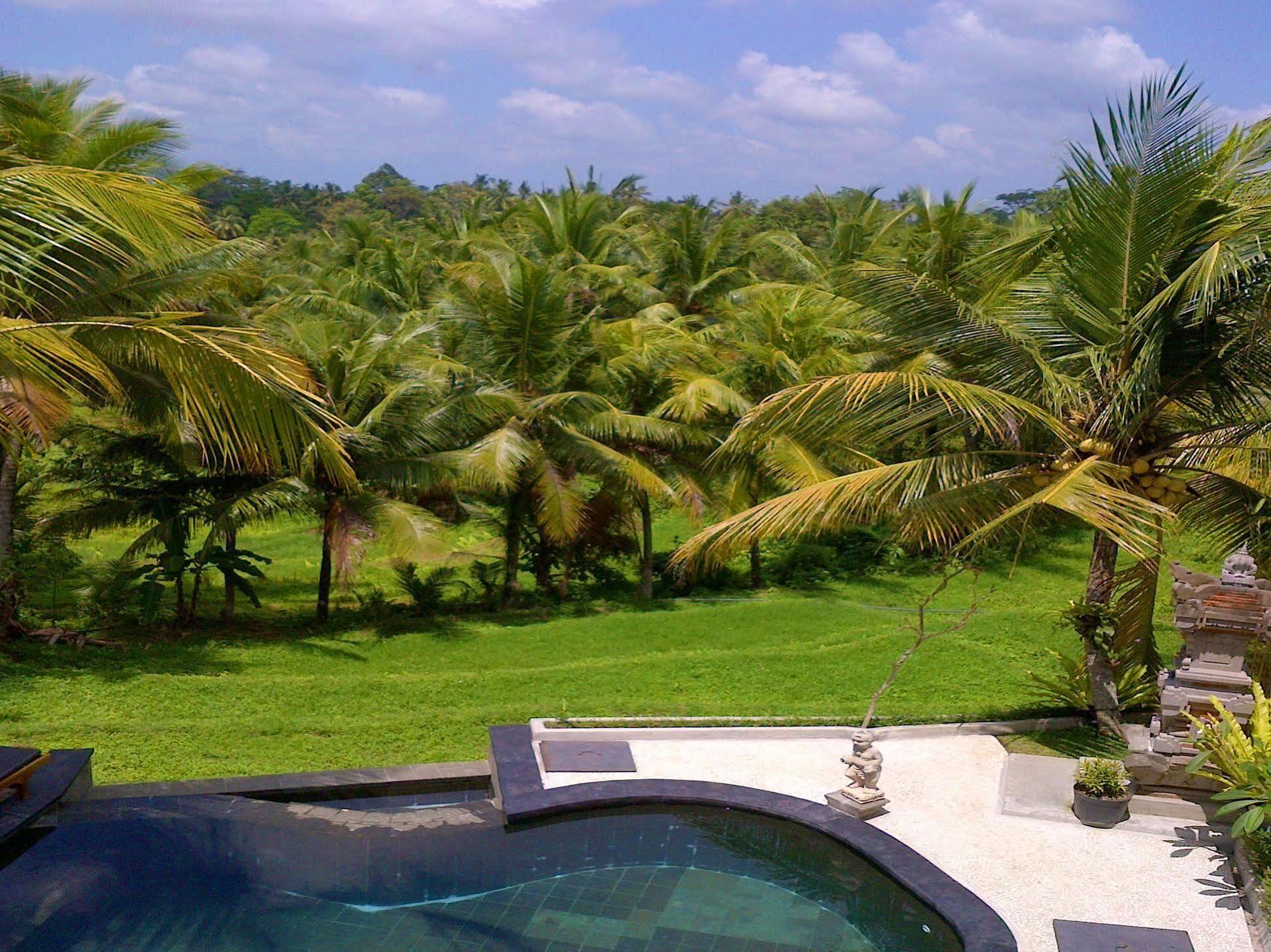 Dewa House Bisma Ubud Exterior foto